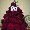agnes__agi12