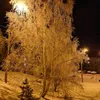 irena.__