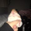 peachicedteaz