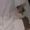 imaneercm