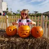 oliviapugsandkittins