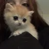 .katya_a