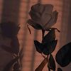 romina_03125