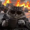 kittywake44