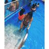 elizabethl.cp