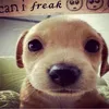 heyymarrta