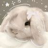 lovelybunnyhops