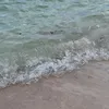 alinelina_