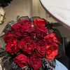 hayfa_alshafie