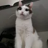 cmaria_27