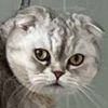 bh_nxt