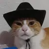 zzeloss_