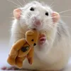 pestilential_rat