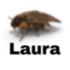 laucgodinez