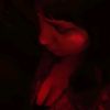 andromedita_