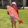 gracelynbeatty