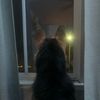 nightfear