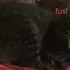 prianpriadi