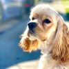 archieandme_