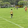 rafael08_ord