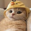 duckie.pleb
