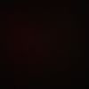 waad_assim