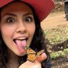 patolina.holes