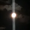 pupuxhindi25