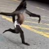 monkedookiepookie