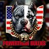powertrainbullies