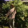 lzv_s