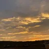 _shiraya_