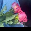 amira..hamdan1