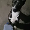 oscar.mollo14