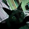 mikey47583