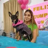 umabrillosa