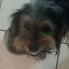 continhaabandonada