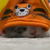 dania_8698
