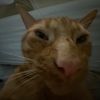 jacob.gilger