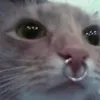 mrsmth_