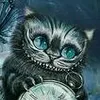 drogcat