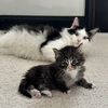 Mou&Motu