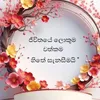 thrisadilrukshedi