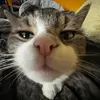 .emmanuelle0_0