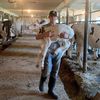 michael_zimm4468