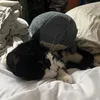 abricot_cot