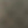 user19382771819191198270