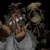 triple9figzv2