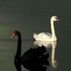 d0uxesp01r