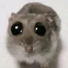 ts_lalala